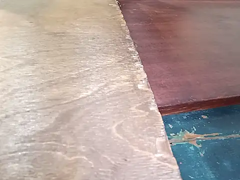Tina_Mirabella