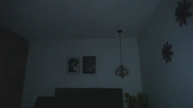 sasi_luna webcam