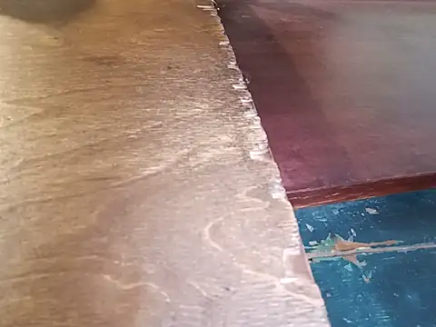 Tina_Mirabella