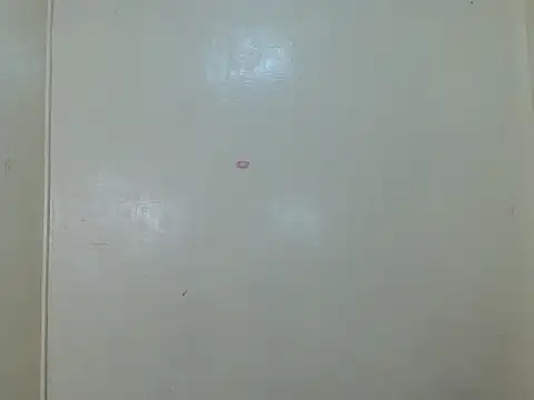 WildpinayXtsBcock