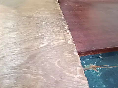 Tina_Mirabella