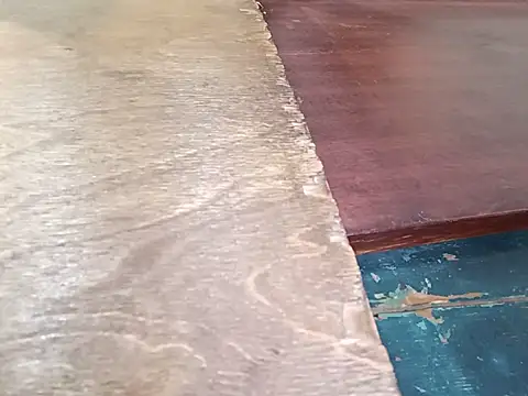 Tina_Mirabella