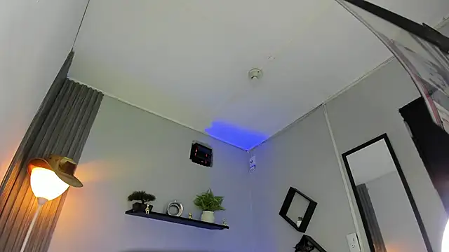 Noah_mill webcam