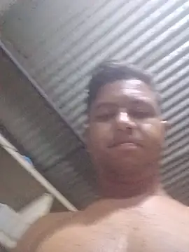 Gato_hot77