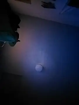 bimexpoexist webcam