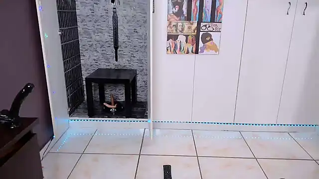 BaDSubMiss