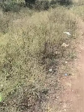 Pune_guy_cillab