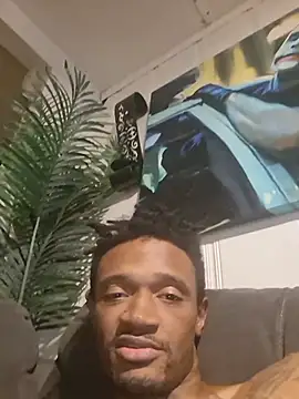 Stanley1995knight