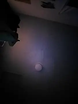 bimexpoexist on Stripchat