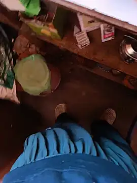 himachali_bull_27 (M young) - Cum