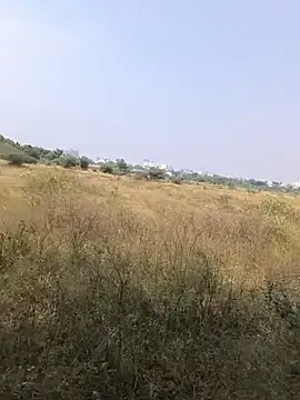 Pune_guy_cillab