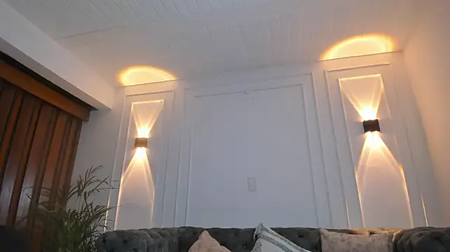 auravg webcam