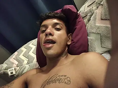 TOLEDIOS webcam