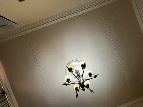 xXXSexyamazon