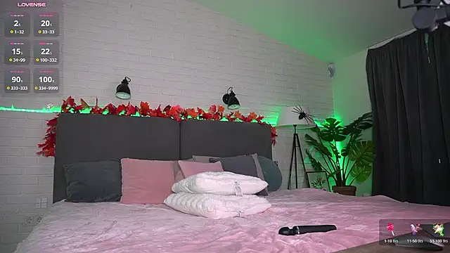 Ann__Ford webcam