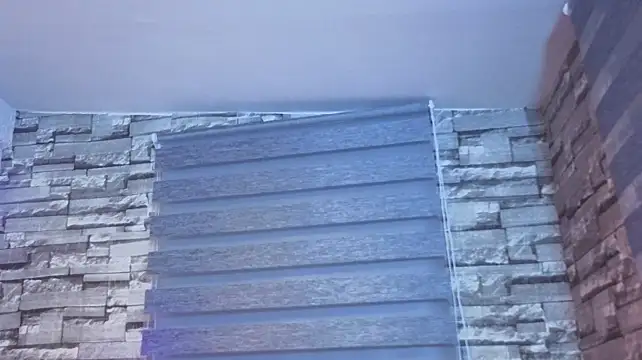 aronymila