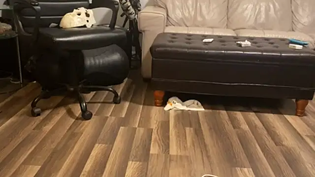 Bezizit on Stripchat