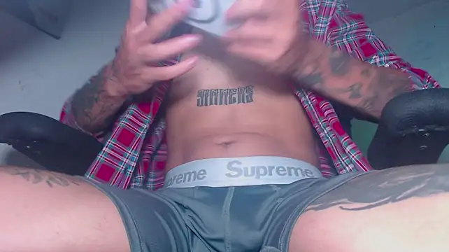 theskateboy