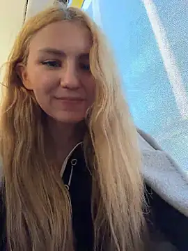 -stray-cat- webcam