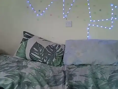 Prettykunta webcam