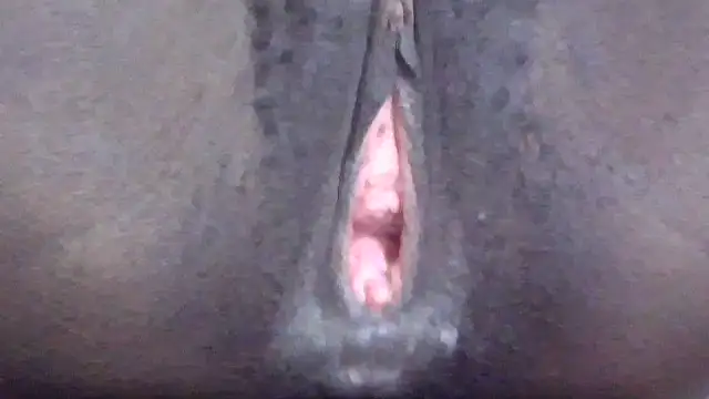 omphiibae