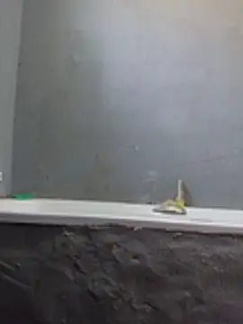 Sdumza live webcam