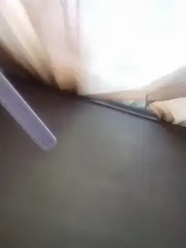 VeronikaLogan webcam