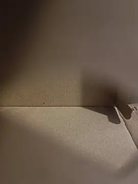 misterBigDick19
