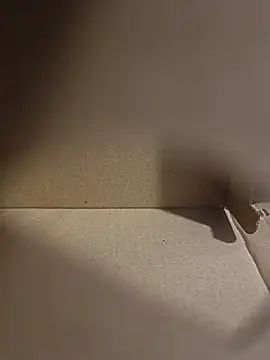 misterBigDick19 live cam on StripChat