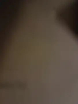misterBigDick19