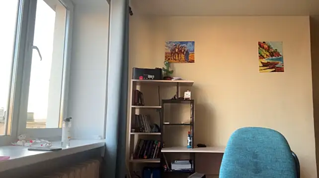 LianalimonLi webcam