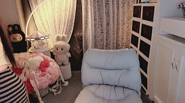 agmer0500 webcam