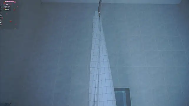 HarriettKitty