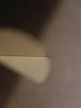 misterBigDick19