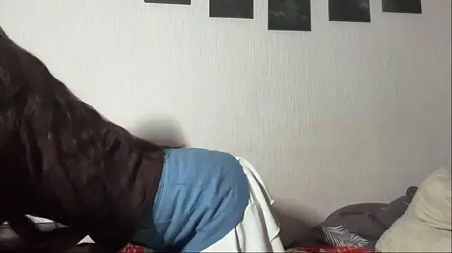 Linci_Adams live