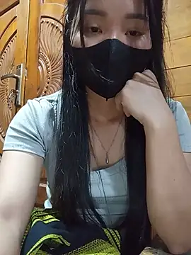 Td3di webcam