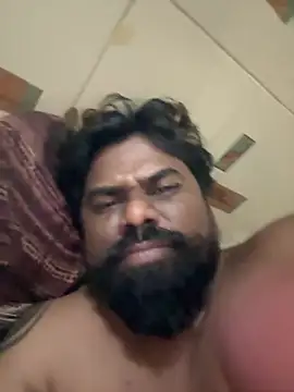 bigdog_ds