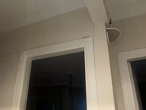 ALPHANDRE live cam on StripChat