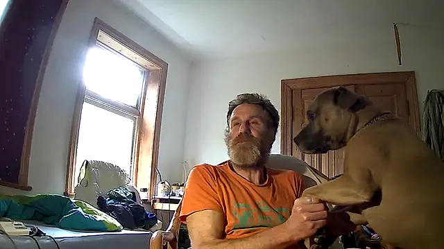 GingerBeardedLynx live cam on StripChat