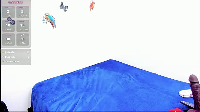 taylorr38_