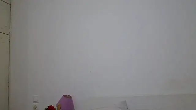 desirmiss1
