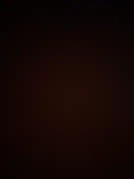 Lynn_33