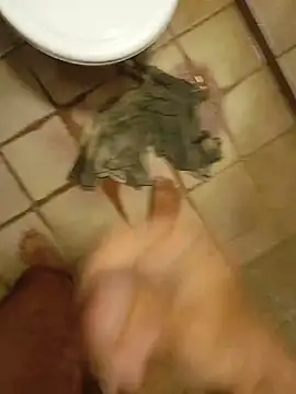 Pikapernambucana