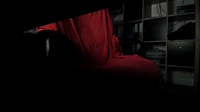 leccaleccafiga webcam