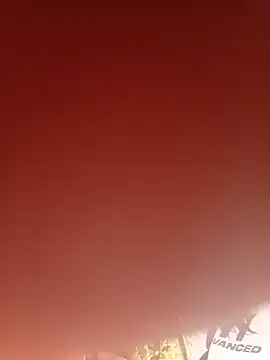 SaloGray8