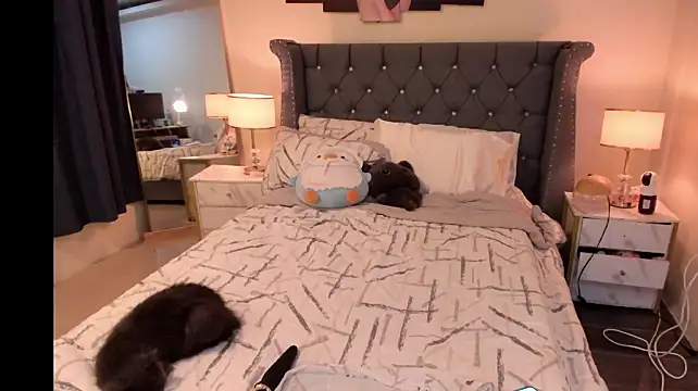 mysteriouscat25