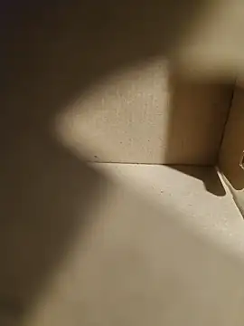 misterBigDick19