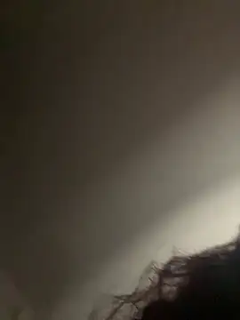 Loopsies