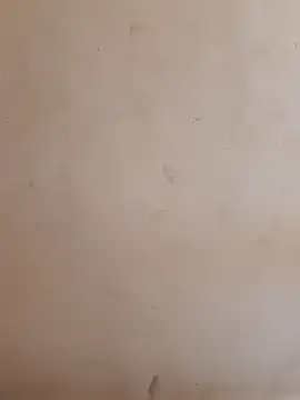 Teri_lella