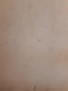 Teri_lella